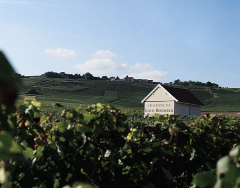 Champagne Louis Roederer