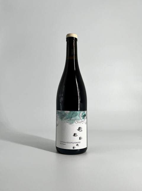 Mon Poulain 2023 AOC Coteaux Bourguignons - Les Horées