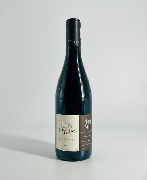 Terres Chaudes 2023 Saumur-Champigny - Domaine des Roches Neuves