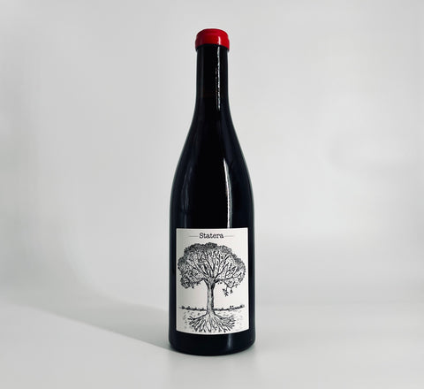 Statera 2021 Vin de France - Domaine Bretaudeau