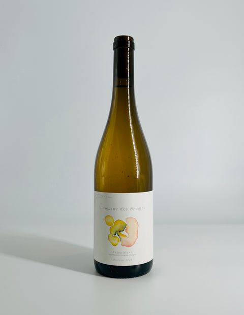 Anjou Blanc AOP 2025 - Domaine des Brumes