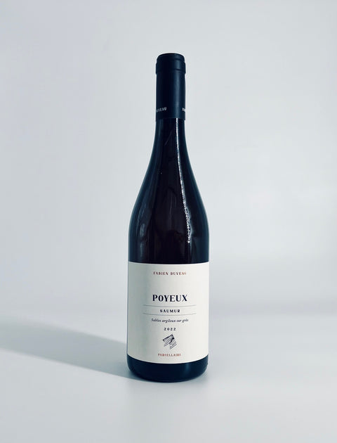 Les Poyeux Chacé 2022 Saumur Blanc - Fabien Duveau